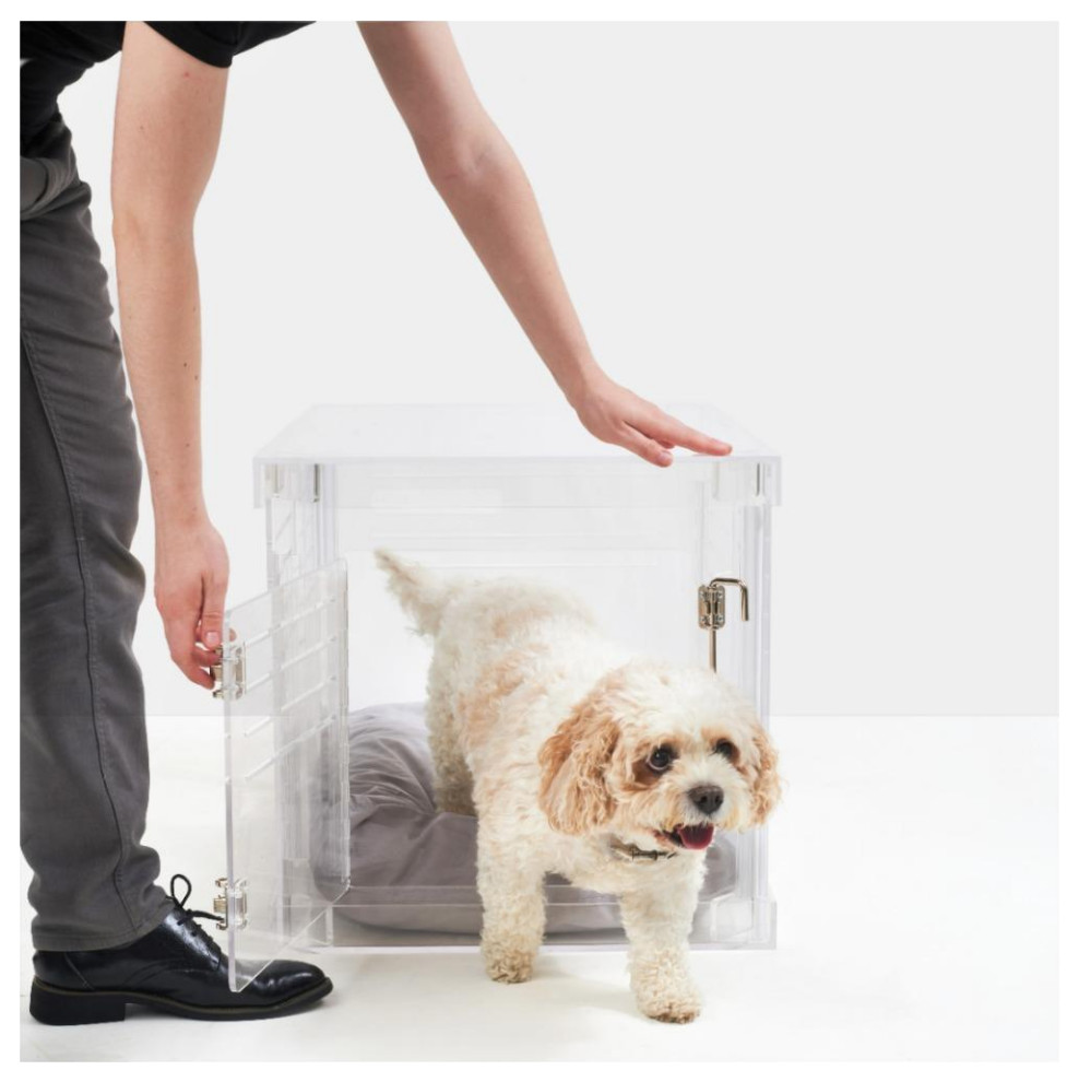 Clear Lucite Acrylic Small Pet Dog Crate Table, Silver Modern Dog