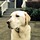 webuser_256340553