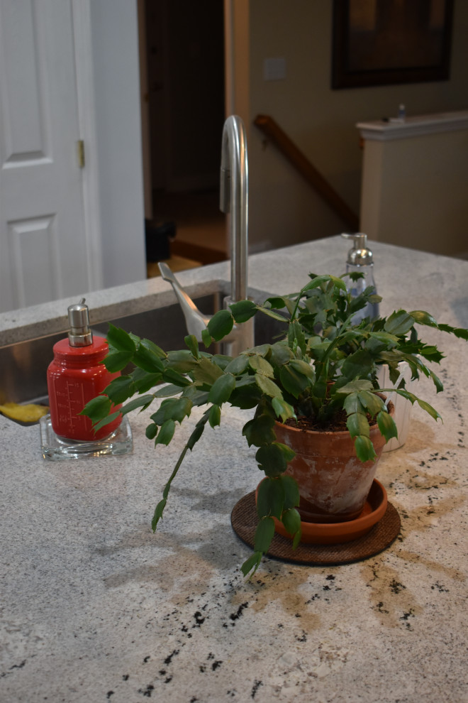 A Cook’s Domain