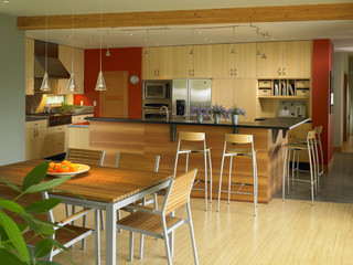 Vashon Residence kitchen contemporary-kitchen