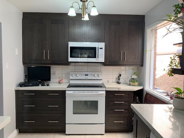 Mid-sized transitional home design photo in Toronto