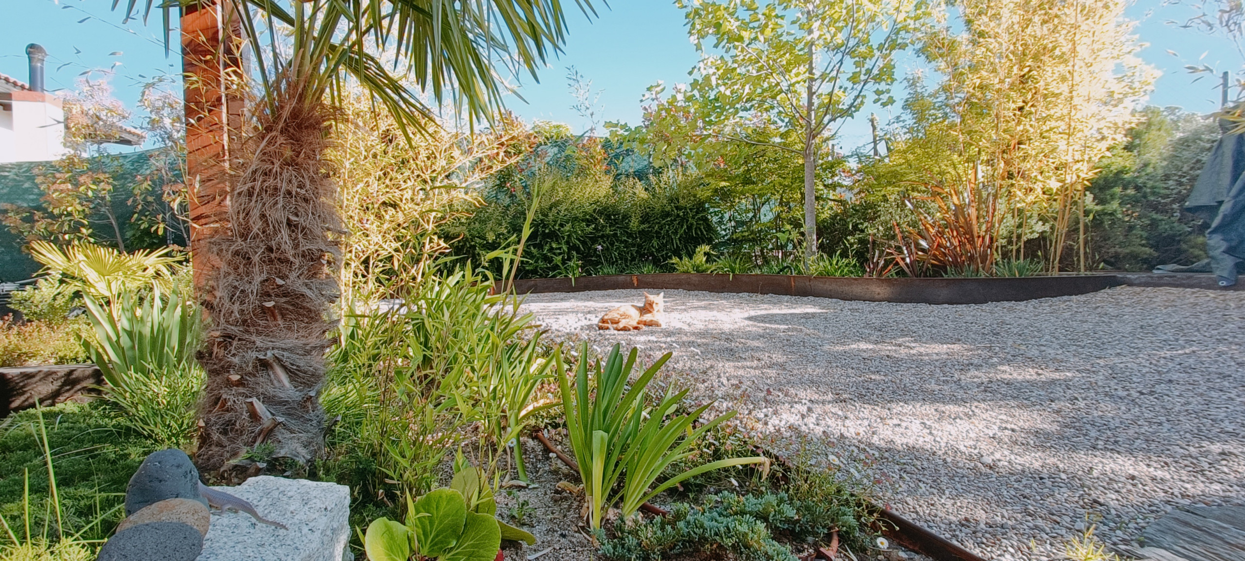 Jardín en la Sierra Norte
