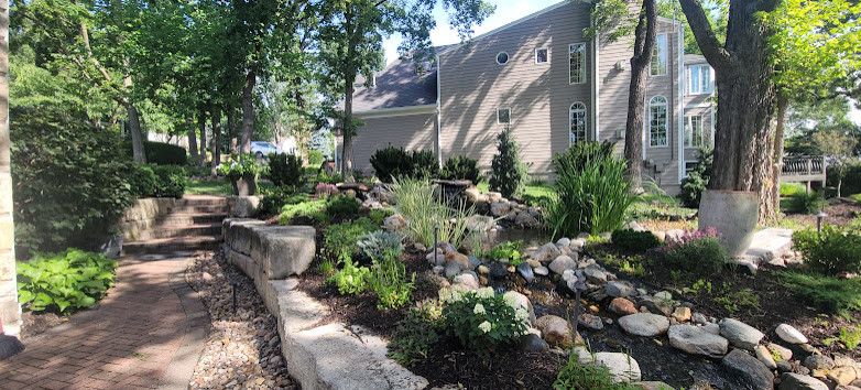 Woodland Restoration