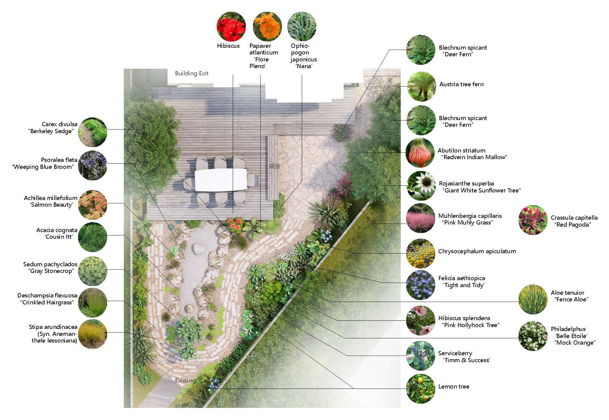 Planting Design