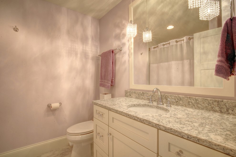 Example of a transitional home design design in Chicago