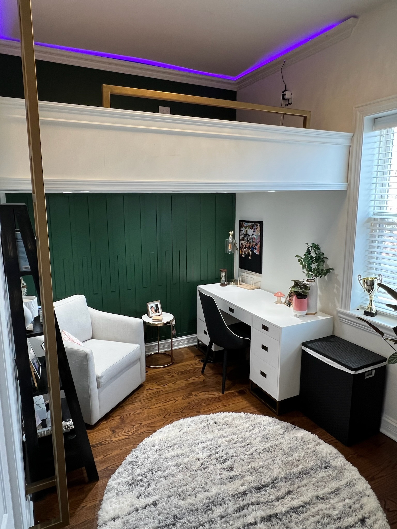 Brownsville/hydepark bedroom upgrade, with a costum loft bed.
