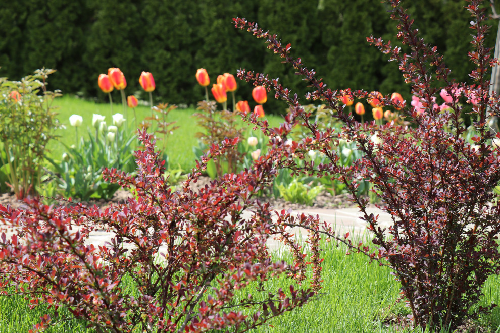 Весна 2020 Сосновые берега