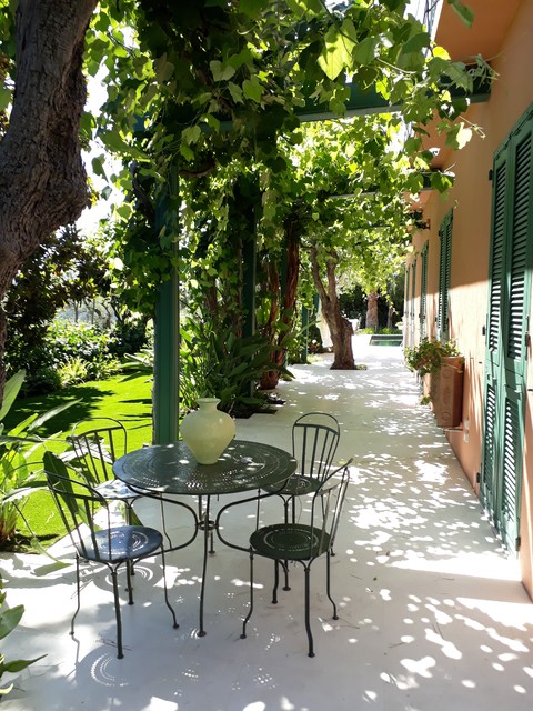 Med Garden mediterranean-courtyard