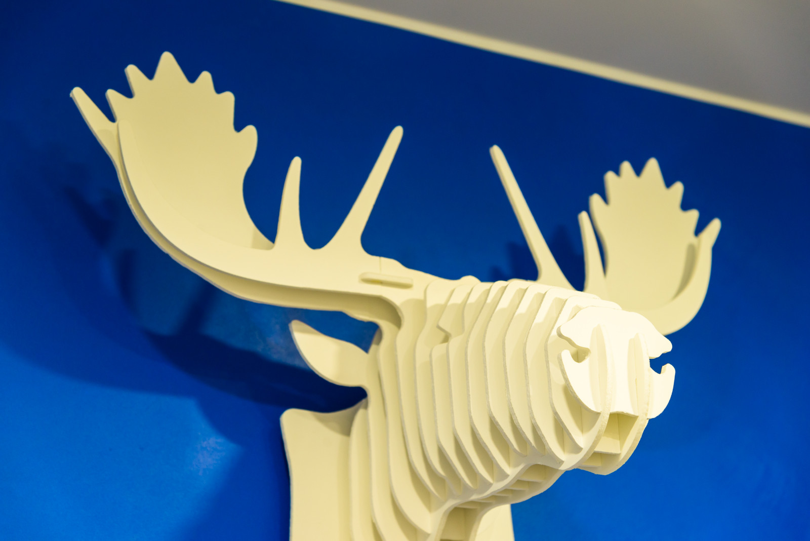 Квартира на Лыжном