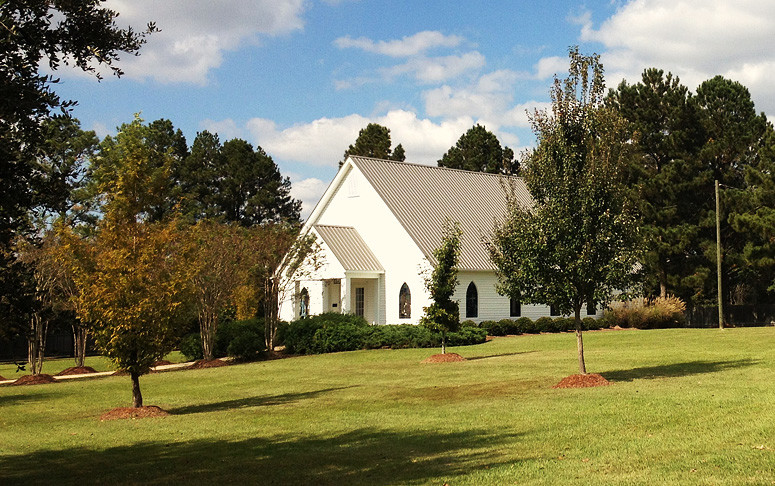 Photo of a mid-sized drought-tolerant and partial sun front yard mulch landscaping in Jackson.