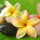 webuser_627209582