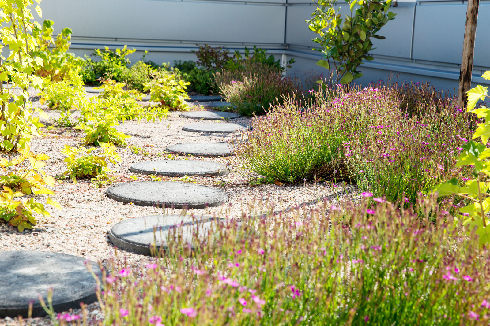 Сада на крыше в Хельсинки, Финляндия