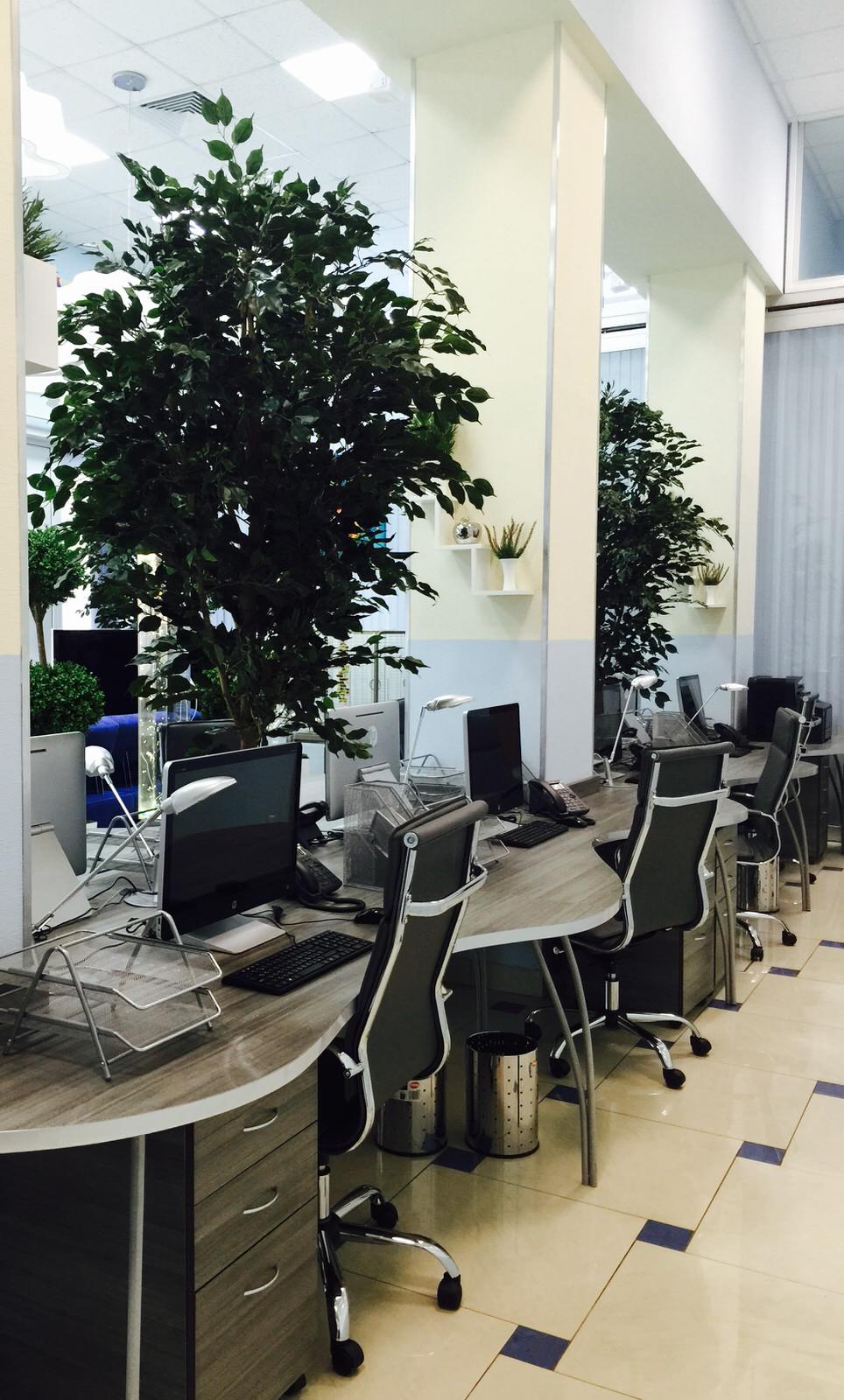 Офис с деревьями