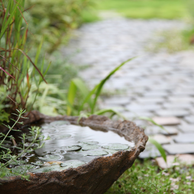 涼しさ満点。水を庭に取り入れる | Houzz (ハウズ)