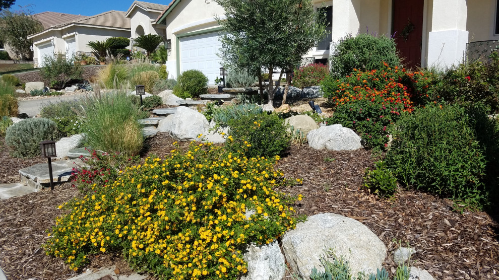Design ideas for a mid-sized and desert look front yard full sun xeriscape for summer in Los Angeles with mulch.