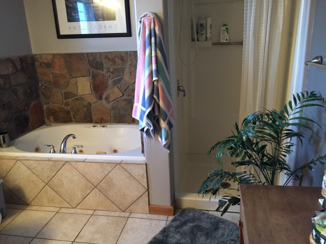 Bathroom Projects rustic