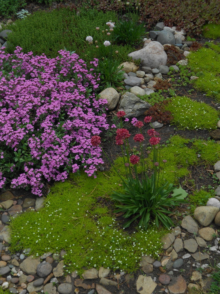 This is an example of a transitional garden in Other.