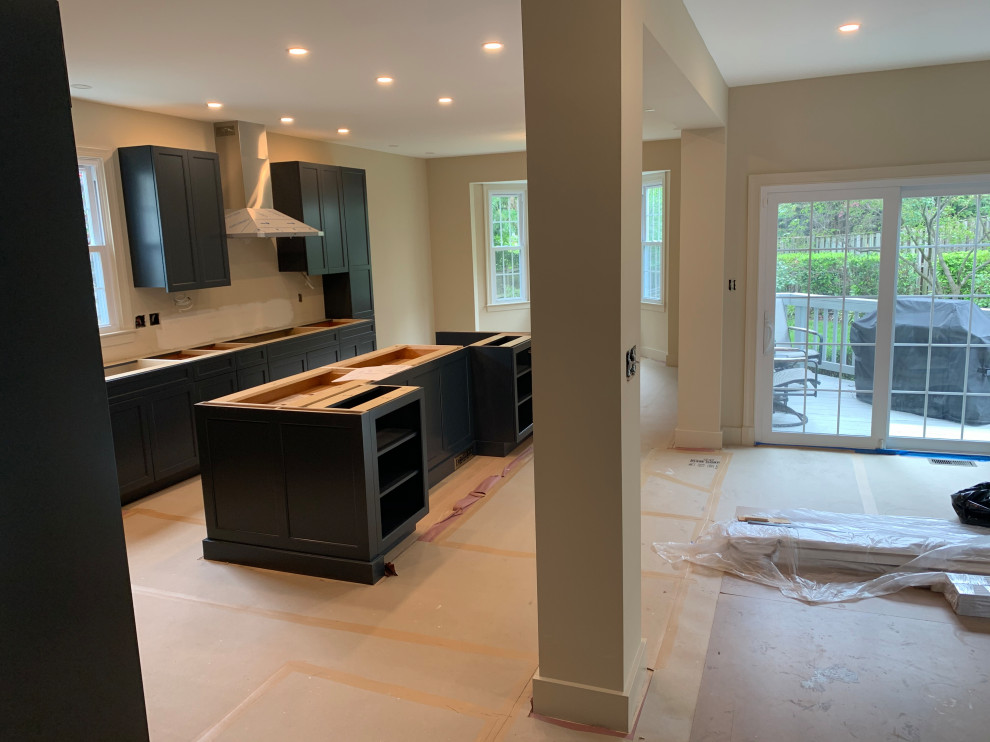 Arlington whole house remodel