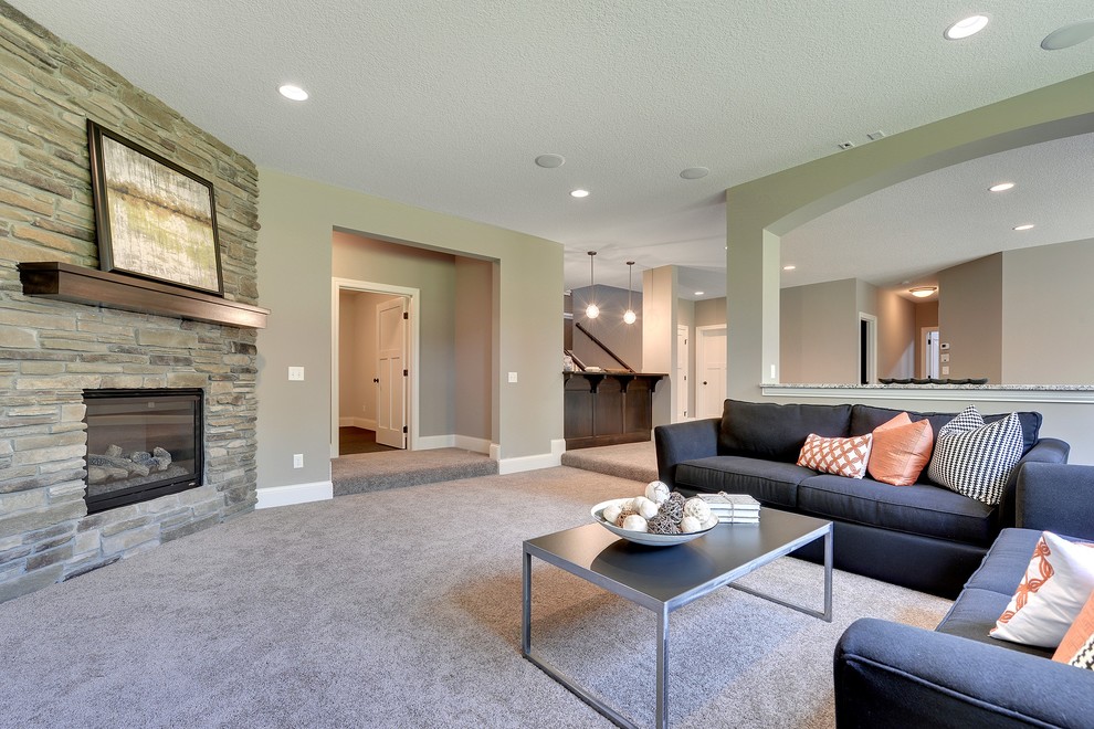Transitional basement photo in Minneapolis