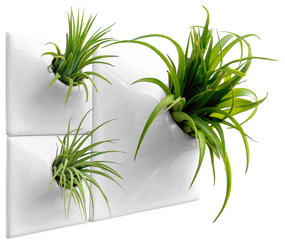 Modern Wall Planter Set, Node Plant Wall, Ceramic, BR1 Contemporary