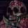 craig_alberstat