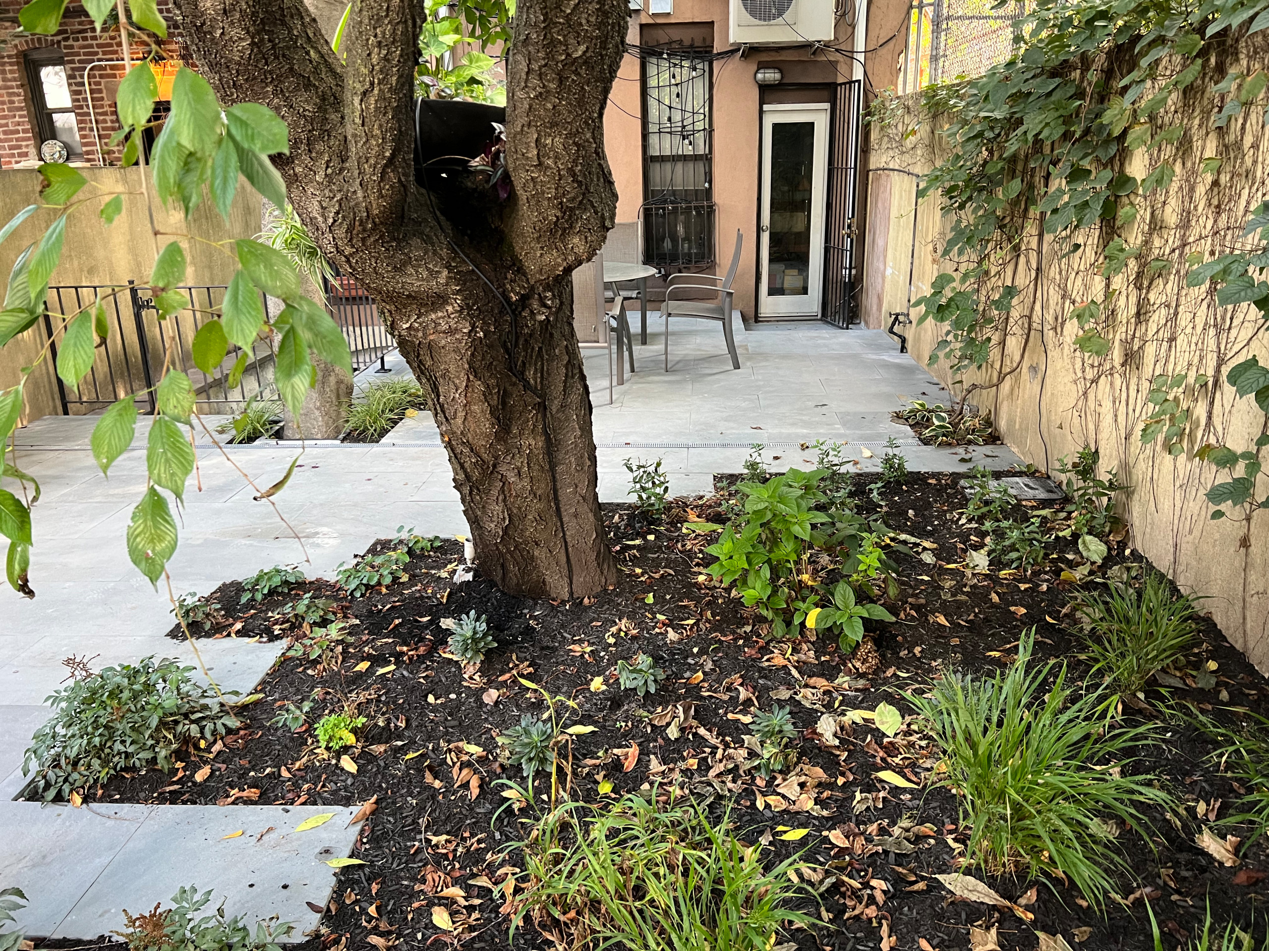 Modern Urban Shade Garden