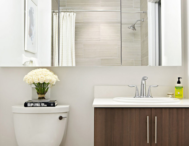 Tri-View Series Medicine Cabinet, 48"x36", Polished Edge, Surface Mounted