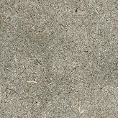 Olive Green Honed Limestone Tiles 18" x 18" x 1/2"