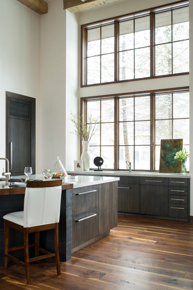 Kitchen - transitional kitchen idea in Denver