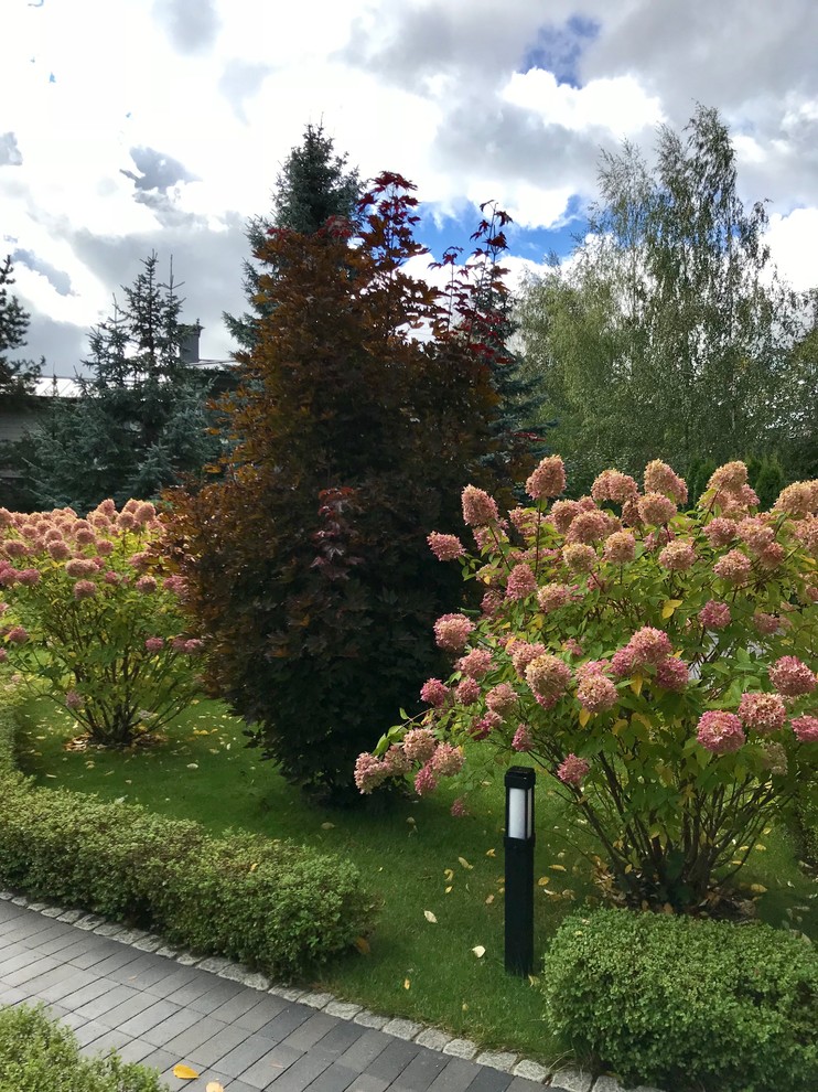 Зелёный лес