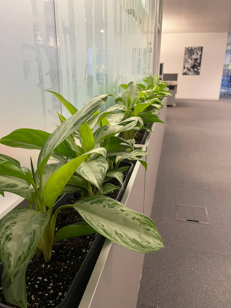 Офис Технодинамика г. Москва