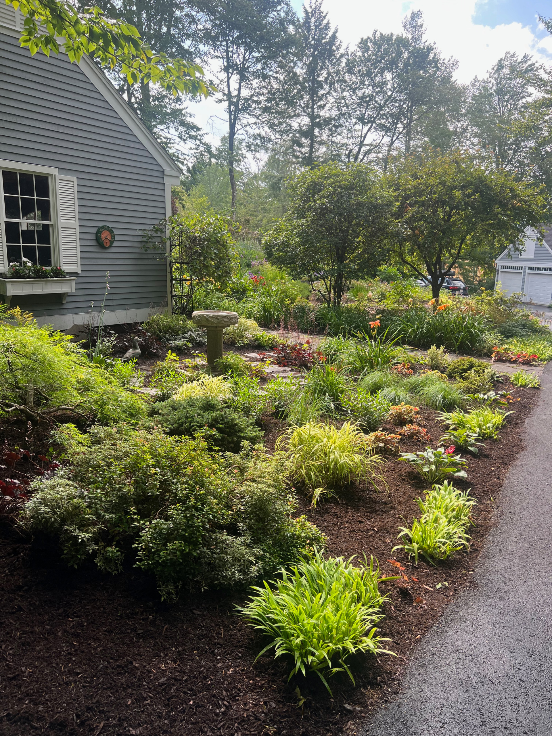 Shed Garden: South Cove Rd, New London NH