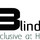 The Blind Guy.com