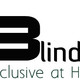 The Blind Guy.com