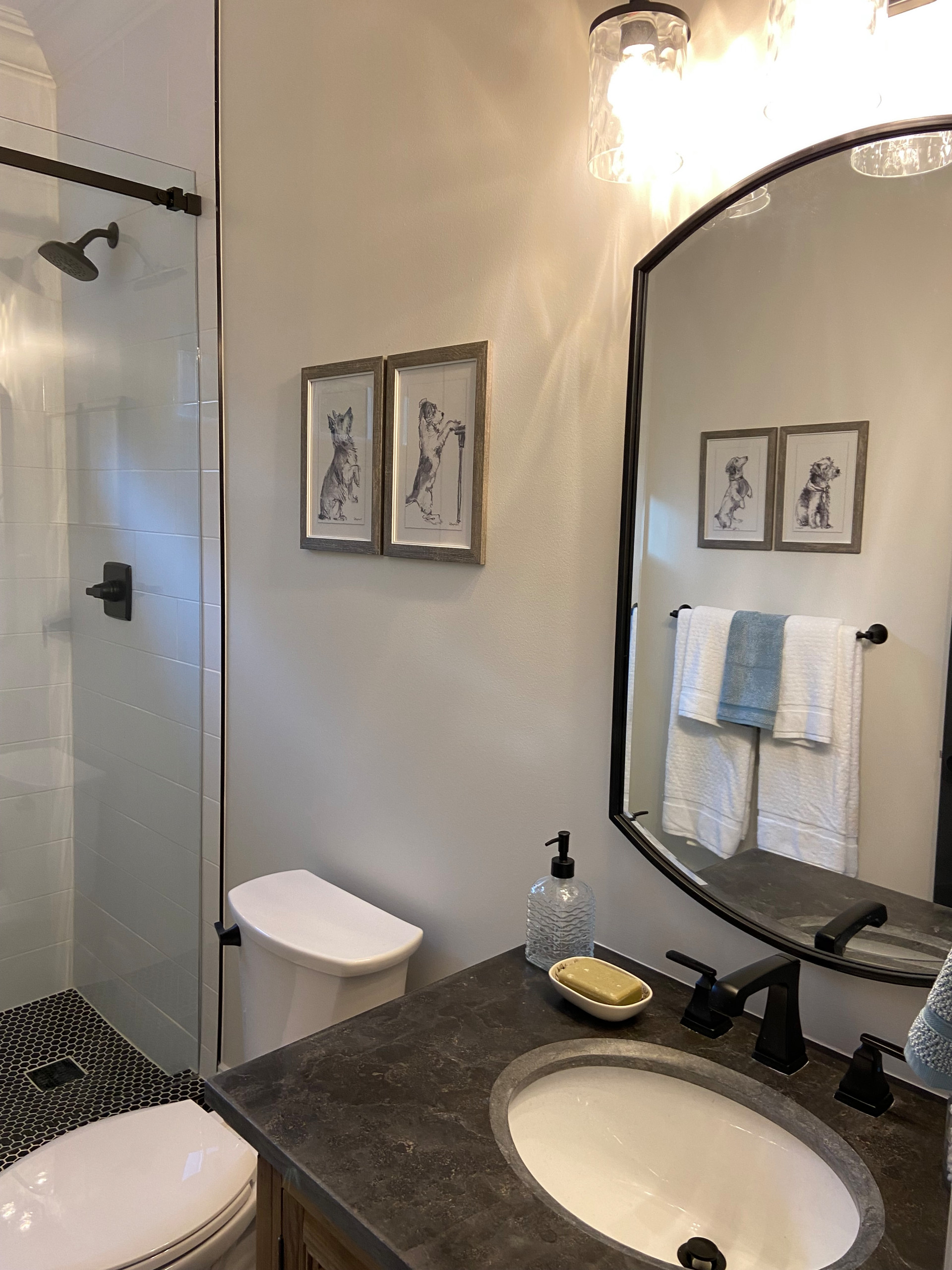Alpharetta Guest Bathroom Renovation