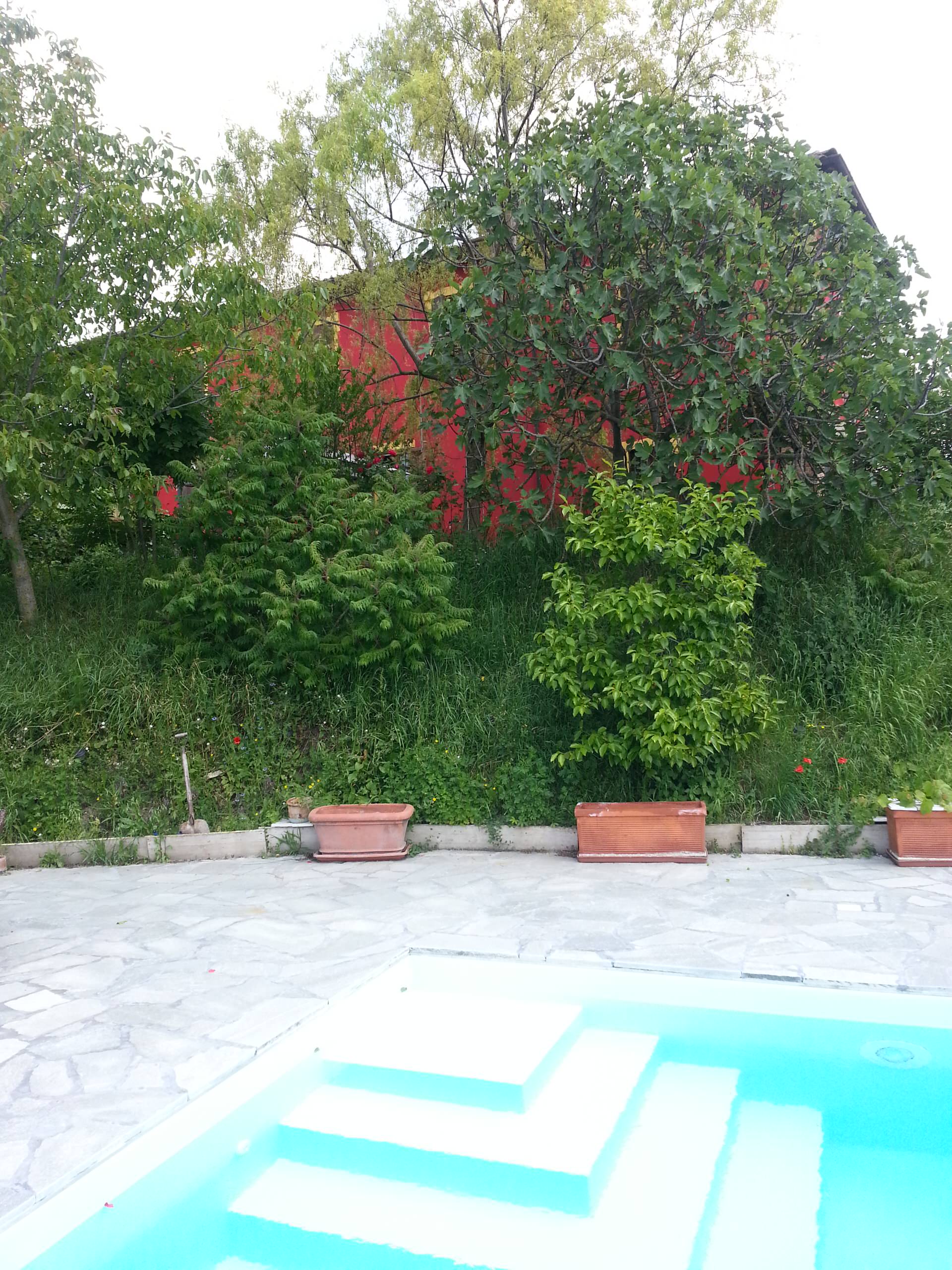 Oasis pool