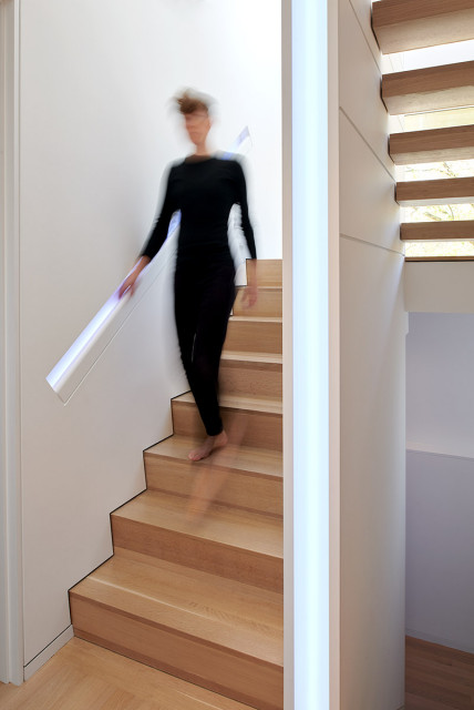 Modern Nest modern-trappa