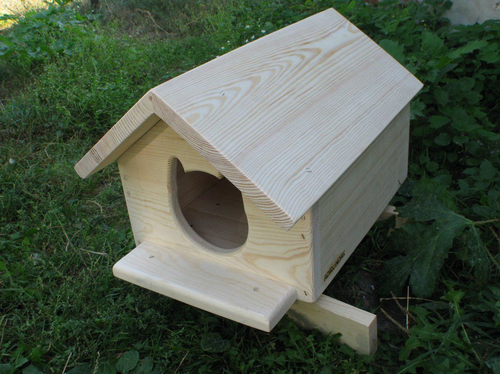 Наши роботы