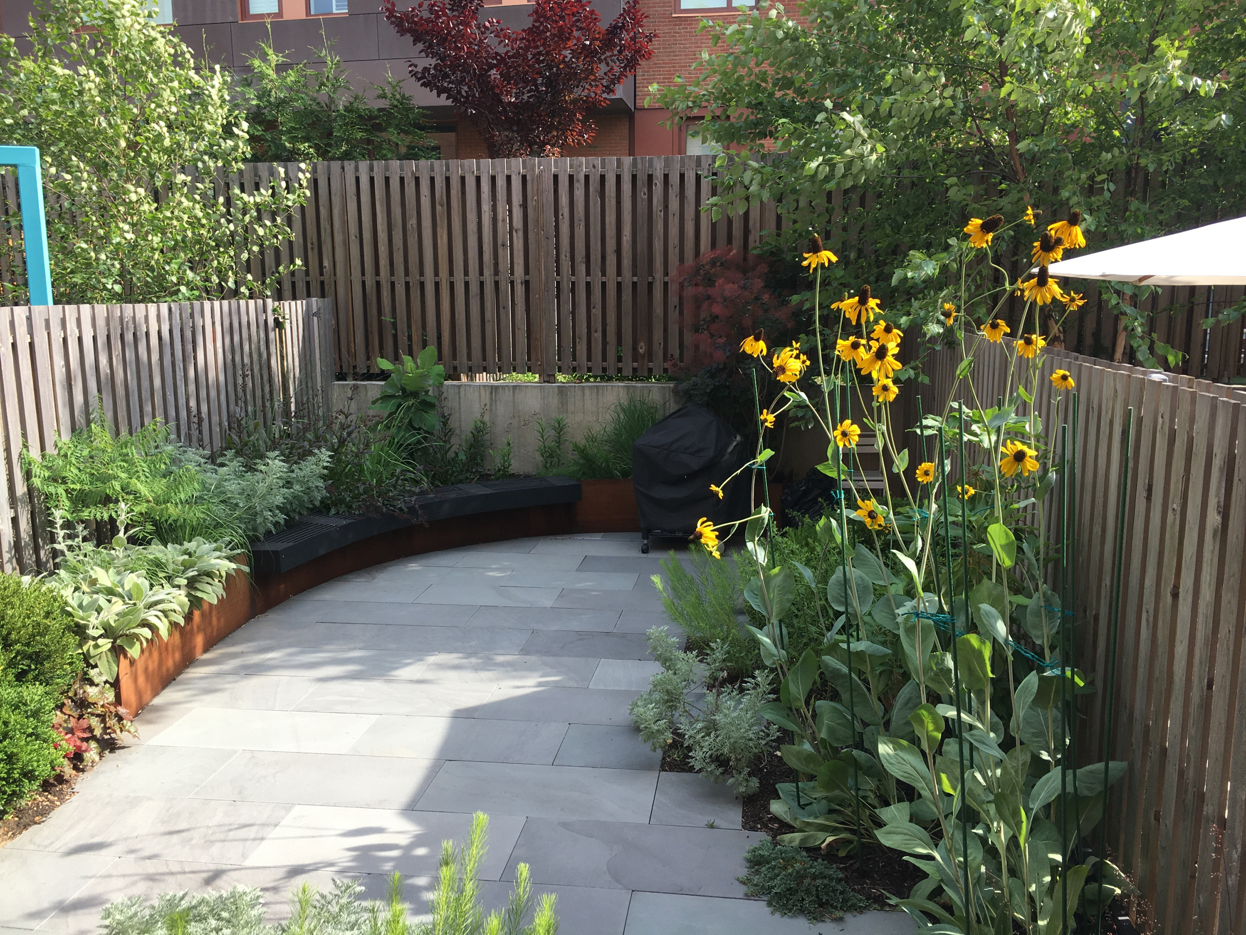 Modern Garden with Curved Corten Border