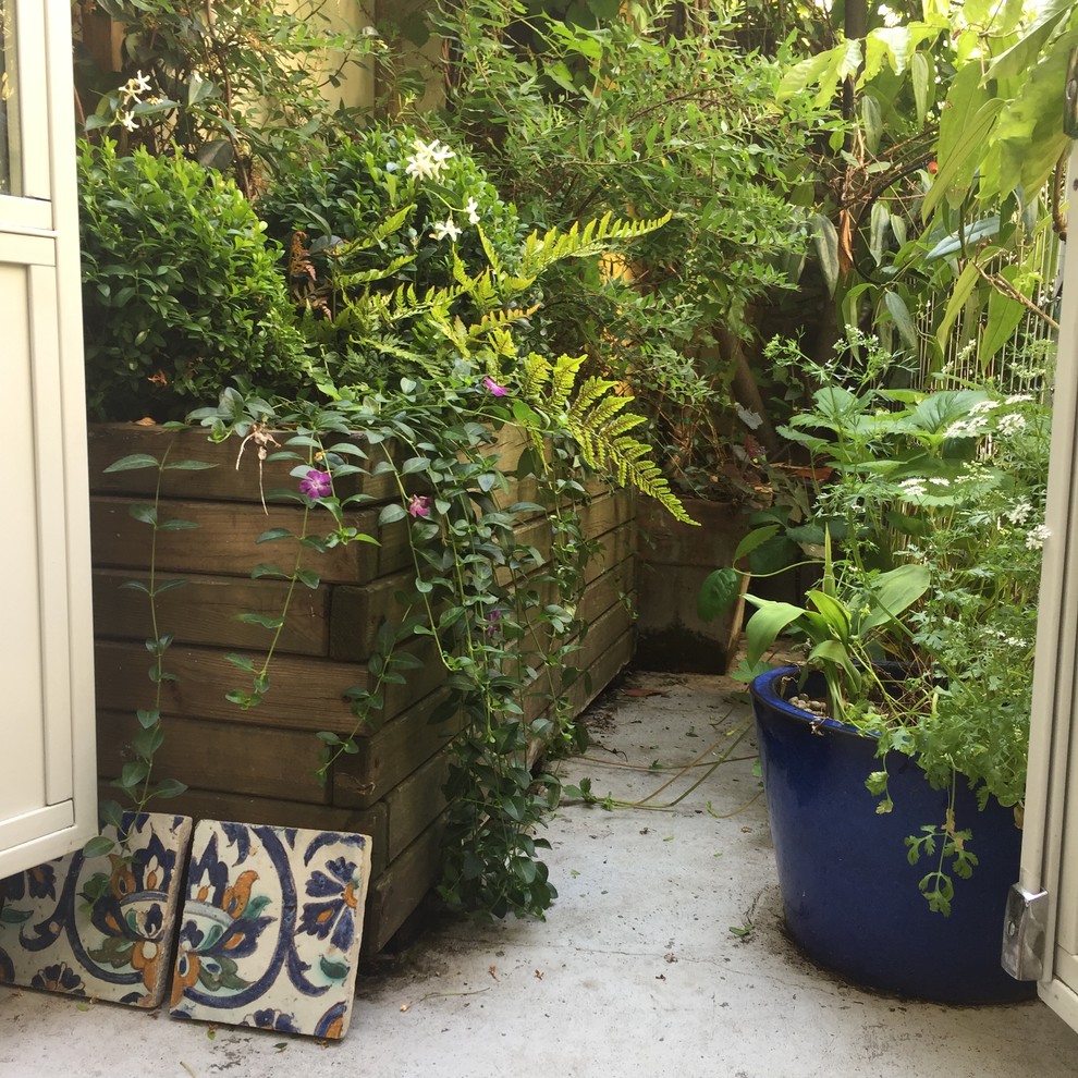 Inspiration for a small transitional front yard patio in Paris with a container garden, stamped concrete and no cover.