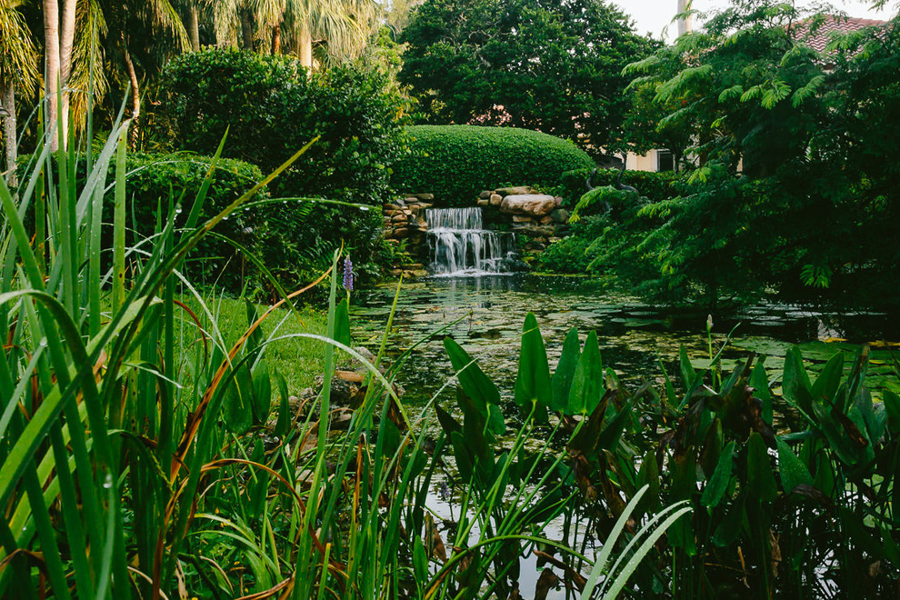 This is an example of a tropical garden in Miami with with pond.