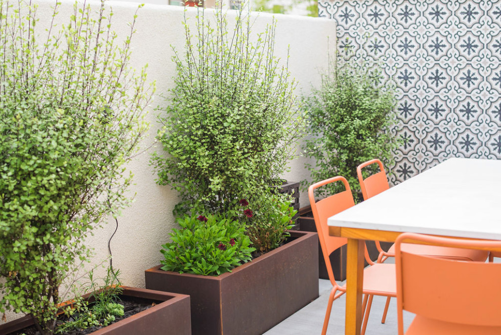 Imagen de jardín de secano minimalista pequeño en primavera en patio trasero con macetero elevado, exposición total al sol, adoquines de hormigón y con piedra