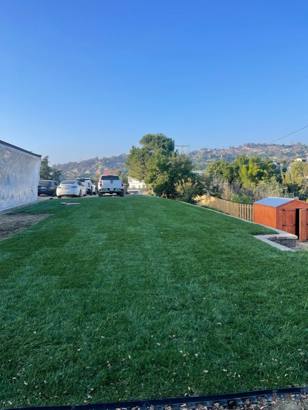 Fresh Front Yard with Irrigation