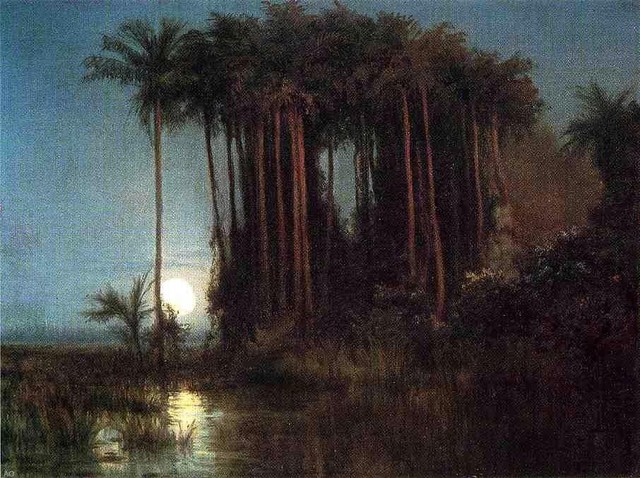 Louis Remy Mignot Moonlight over a Marsh in Ecuador Wall Decal