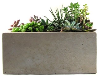 Concrete Planter - Modern - Indoor Pots And Planters - by Rough Fusion Concrete Planter - Modern - Indoor Pots And Planters - by Rough Fusion