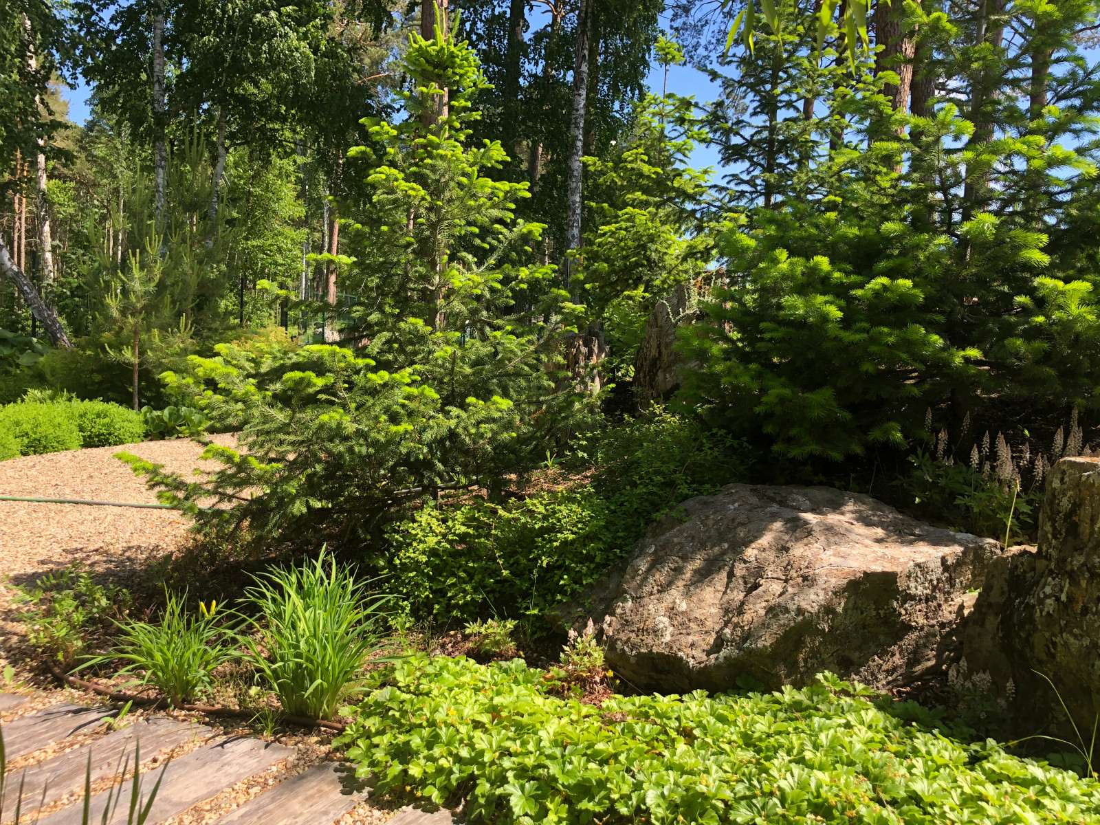 Усадьба на краю леса