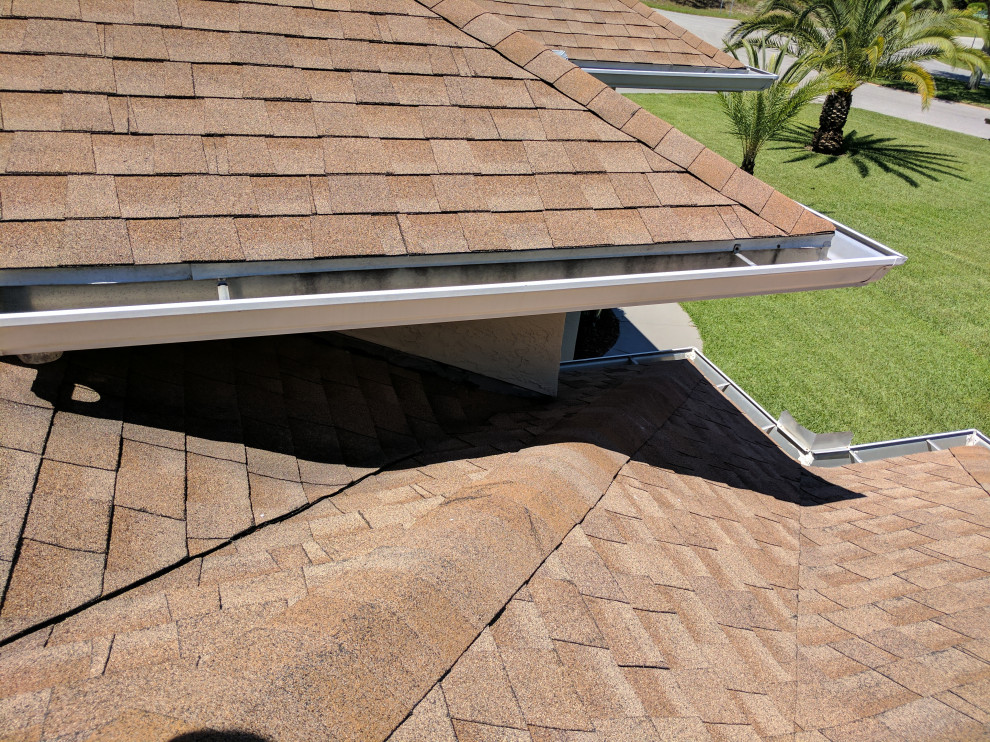 Shingle Roof