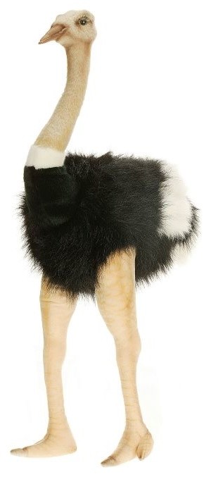 ostrich stuffed animal