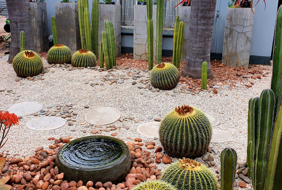 Photo of a small and desert look transitional backyard full sun xeriscape in Other with gravel.