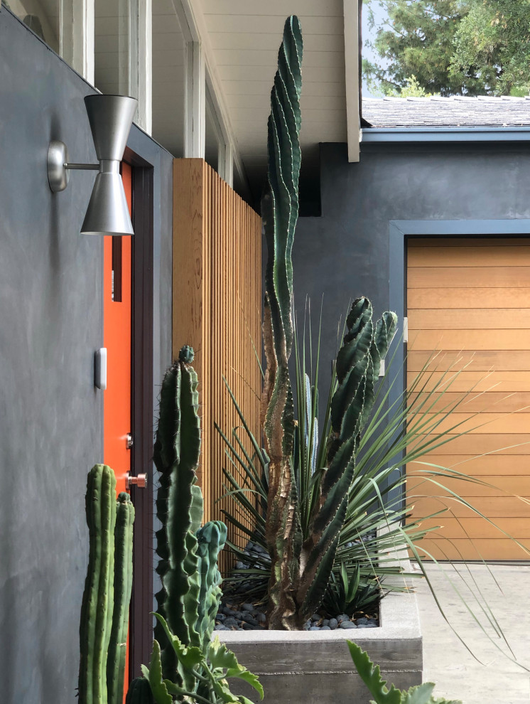 Esempio di un giardino minimalista esposto a mezz'ombra di medie dimensioni e davanti casa in inverno con un ingresso o sentiero, pavimentazioni in cemento e recinzione in metallo